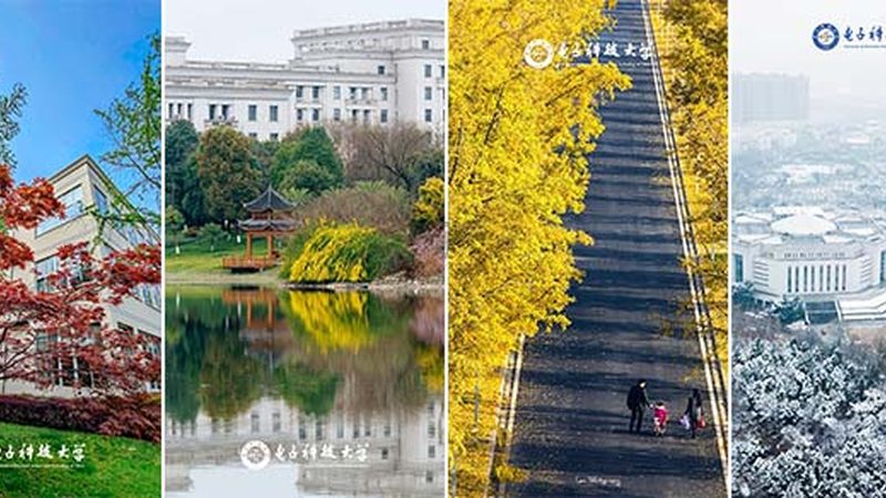 铝基板在高速线路板中的应用与选择要点